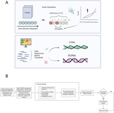 ZSeeker: An optimized algorithm for Z-DNA detection in genomic sequences