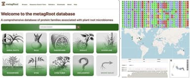 metagRoot: A comprehensive database of protein families in plant root microbiomes