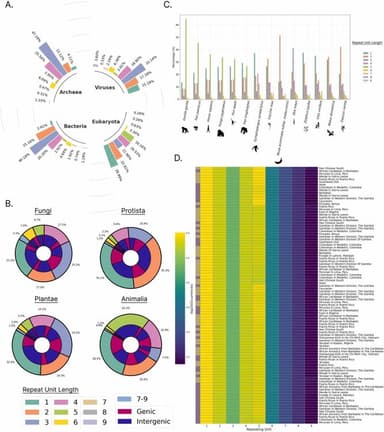Microsatellites Explorer: A database of short tandem repeats across genomes