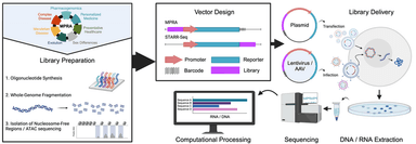 MPRAbase: A Massively Parallel Reporter Assay database